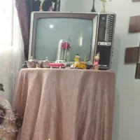 تلویزیون کلکسیونی