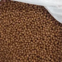 میکس دل و غذا بیومار ماهی گوشت خوار و گیاهخوارکوی|ماهی|مشهد, بلال|دیوار