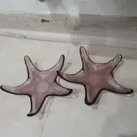 نقل خوری یا مزه خوری آلمان برجسته