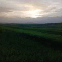 زمین-تعاونی-اسلامشهر-6دانگ