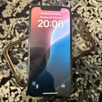 اپل ۱۲ پرو ۲۵۶