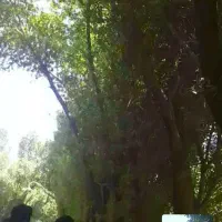 نگهبان