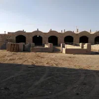 اجاره ی دامداری درمجتمع کشتارگاه طبس|اجارهٔ دفتر صنعتی، کشاورزی، تجاری|اشکذر, |دیوار