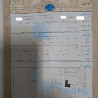 فروش مغازه|فروش مغازه و غرفه|گنبد کاووس, |دیوار