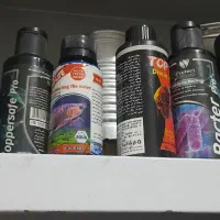 آکواریوم شیشه خم|ماهی|کرمانشاه, |دیوار