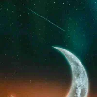 کارت ملی گم شده به اسم علی نژاد