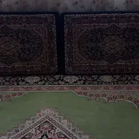 پادری وپشتی در حد نو|پشتی|کرج, گلستان|دیوار