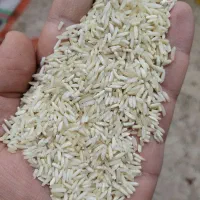 برنج شیرودی دودی|خوردنی و آشامیدنی|رشت, جانبازان|دیوار