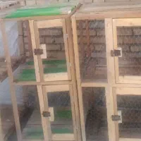 قفس مرغ پرنده کبوتر قفس چوبی