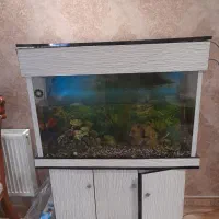 شیشه آکواریوم