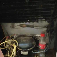 یخچال کوچک مغازه ای|یخچال و فریزر|لنگرود, |دیوار