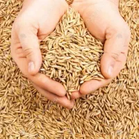 سرمایه-ازشما-کار-و-مکان-از-من