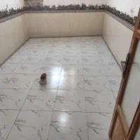 کاشی کاری و سرامیک کاری لکه گیری حمام و دستشویی|خدمات پیشه و مهارت|قشم, |دیوار