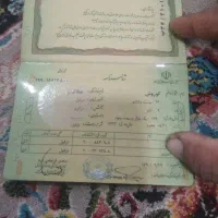 شناسنامه|اشیا|دزفول, |دیوار