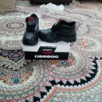 کفش کار نو 3 جفت|کیف، کفش، کمربند|نیشابور, خط کاشمر|دیوار