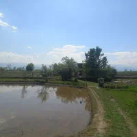 فروش زمین مسکونی با شالیزار سنتی بر اسفالت
