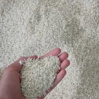برنج هاشمی درجه ۱ سورتینگ شده