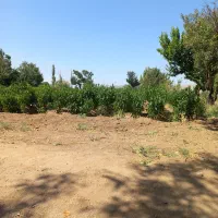 زمین-مسکونی-سعید-اباد