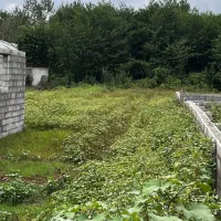 فروش زمین باغی ۴۹۰متر|فروش زمین و ملک کلنگی|ضیابر, |دیوار