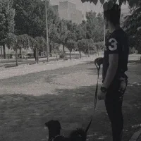 مژدگانی|حیوانات|محمدیه-قزوین, |دیوار