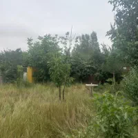 زمین ۶۰۰متر ۴۰ متر بنا کنار دانشگاه پیام نور