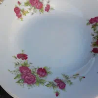 تعدادی ظروف