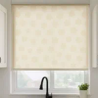 پرده دو مکانیزه