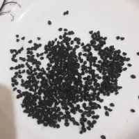 بذر پیاز قرمز اعلاء (قره قابیخ)