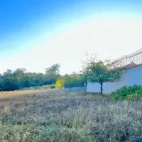 فروش زمین چسبیده به بافت افراتخته کوچه راهدارخانه|فروش زمین و ملک کلنگی|علیآباد کتول, |دیوار