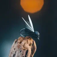 قلاب ماهیگیری