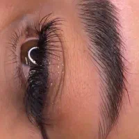 مدل برای تکنیک های جدید (فوری )