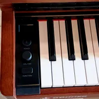 Donner ddp-200|پیانو، کیبورد، آکاردئون|قزوین, |دیوار