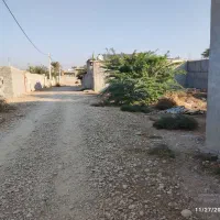 زمین|فروش زمین و ملک کلنگی|آبپخش, |دیوار