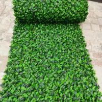 فنس برگ پرتقالی ریحان ریحون برگی گلبرگ گلبرگی