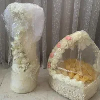 شاخه نبات