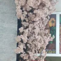 ظرفشور .و سالن کار