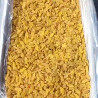 مویز و کشمش|خوردنی و آشامیدنی|شیراز, حومه شیراز|دیوار