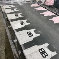 شابلون زن ماهر و کارگر ساده وسط کار|استخدام صنعتی، فنی، مهندسی|تهران, شهرک بعثت|دیوار