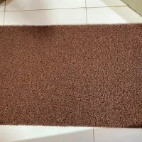 پادری نوی نو