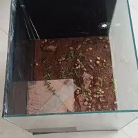 دو عدد اکواریوم کاملا سالم