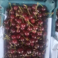 موز ۲۵۰ الوبالو تازه و گیلاس تک دانه