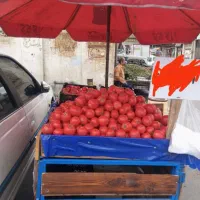 گاری