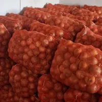 پیاز  طلایی سوپر لوکس