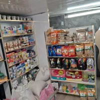 لوازم جانبی و مکمل پرندگان|لوازم جانبی حیوانات|شاهین‌شهر, فردوسی|دیوار