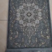 پادری 1500شانه