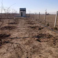 زمین مسکونی ومغازه بهر جاده