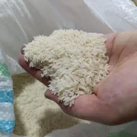 برنج درجه یک طارم هاشمی