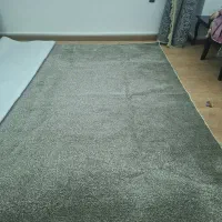 موکت|موکت|قزوین, |دیوار