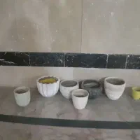 گلدان|گل و گیاه طبیعی|فردیس, قریشی|دیوار