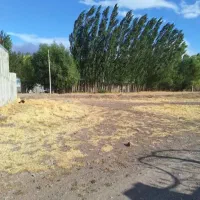 زمین مسکونی  وام دار اندبیل|فروش زمین و ملک کلنگی|خلخال, |دیوار